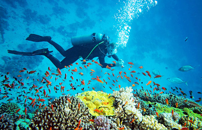 1491555548hikkaduwa discover scuba diving for adults 03