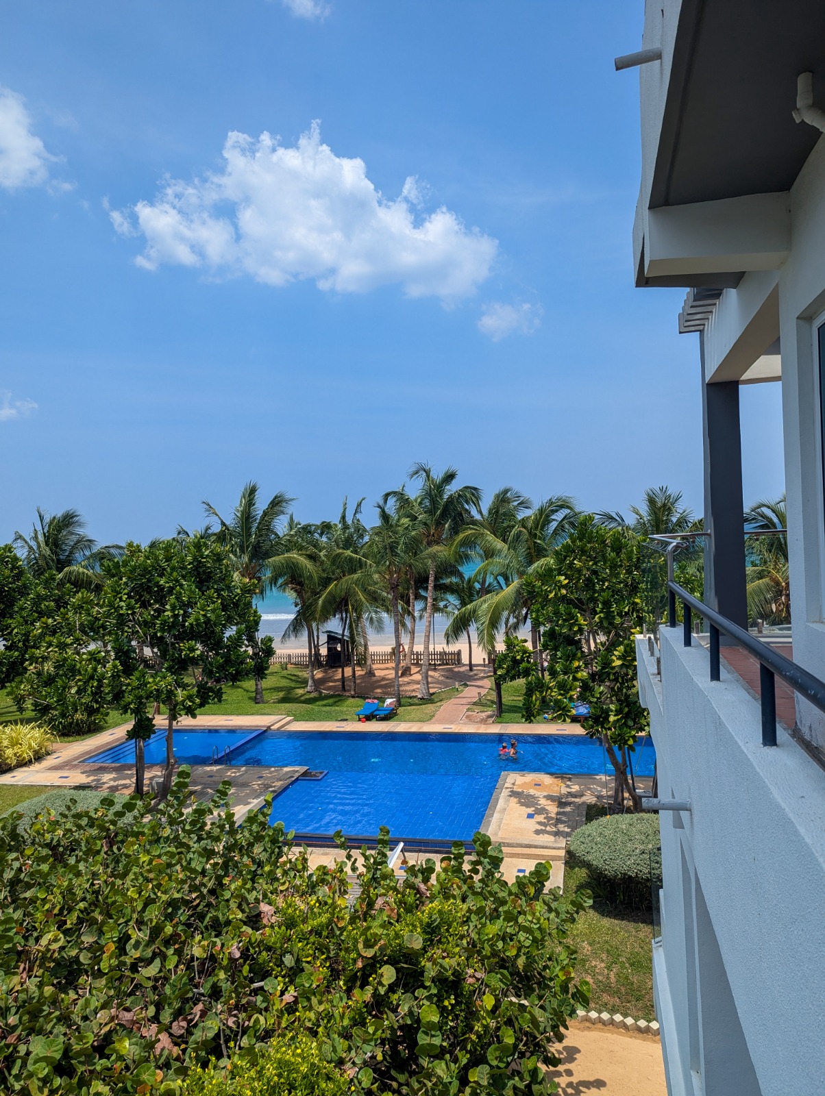 whatsapp image 2026 03 23 agefgt 11.33.51 am