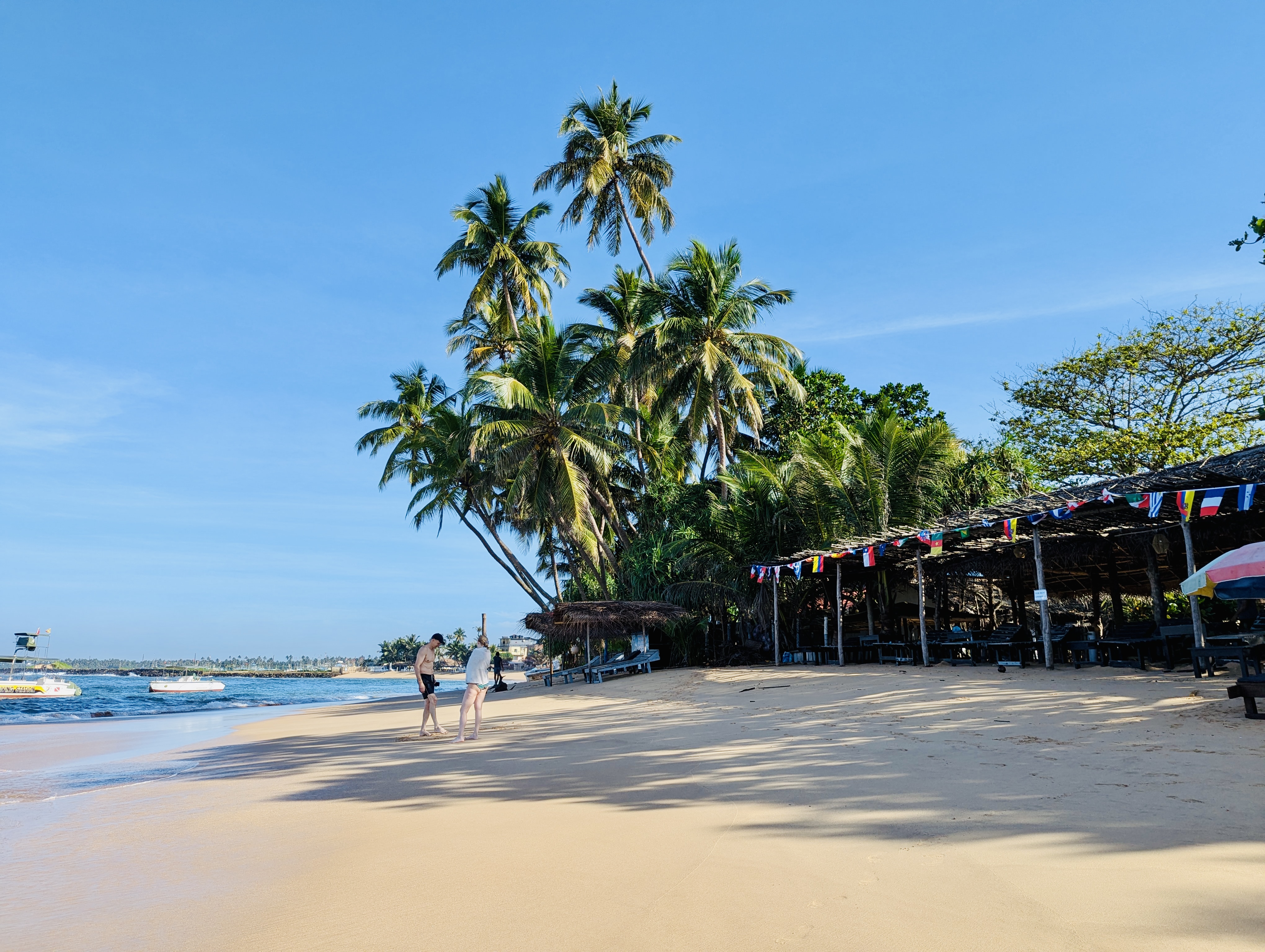 pxl 20241119 023830739(1)