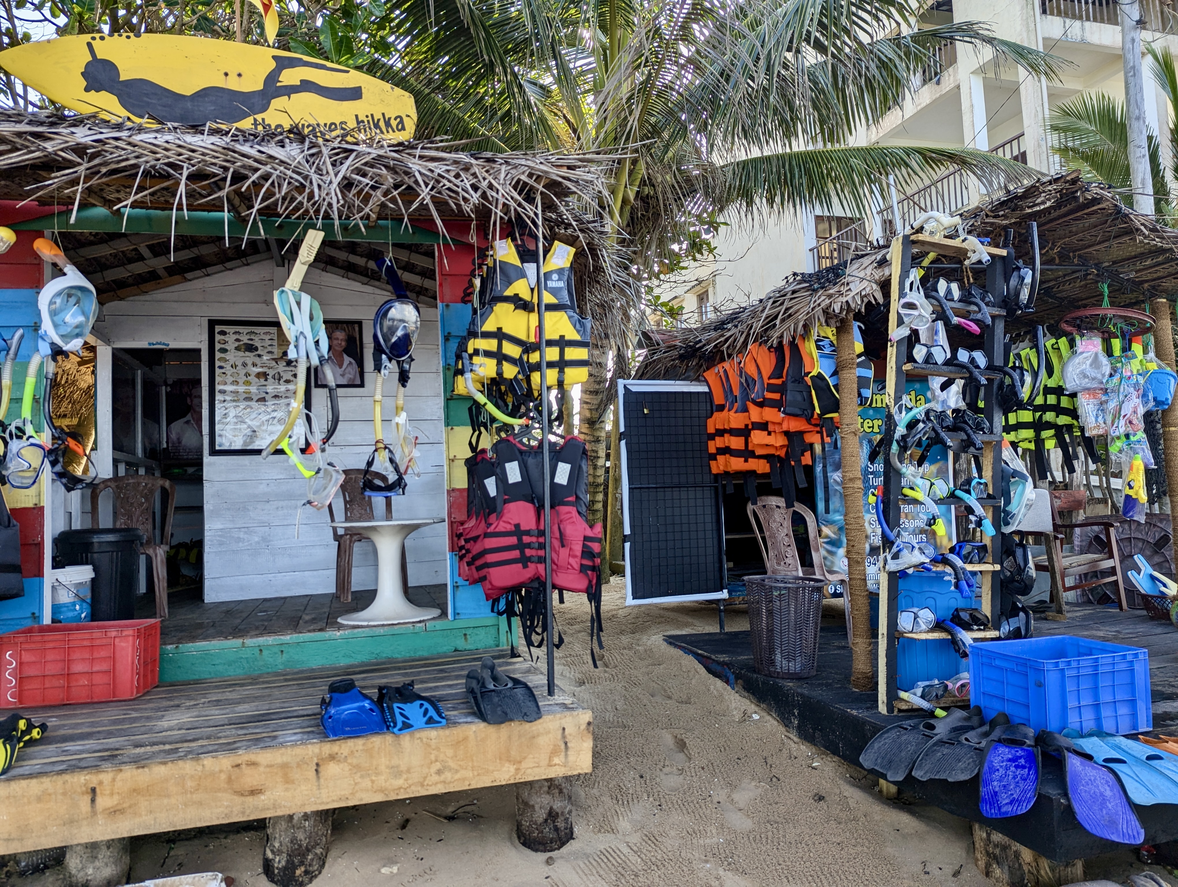 pxl 20241119 023916705