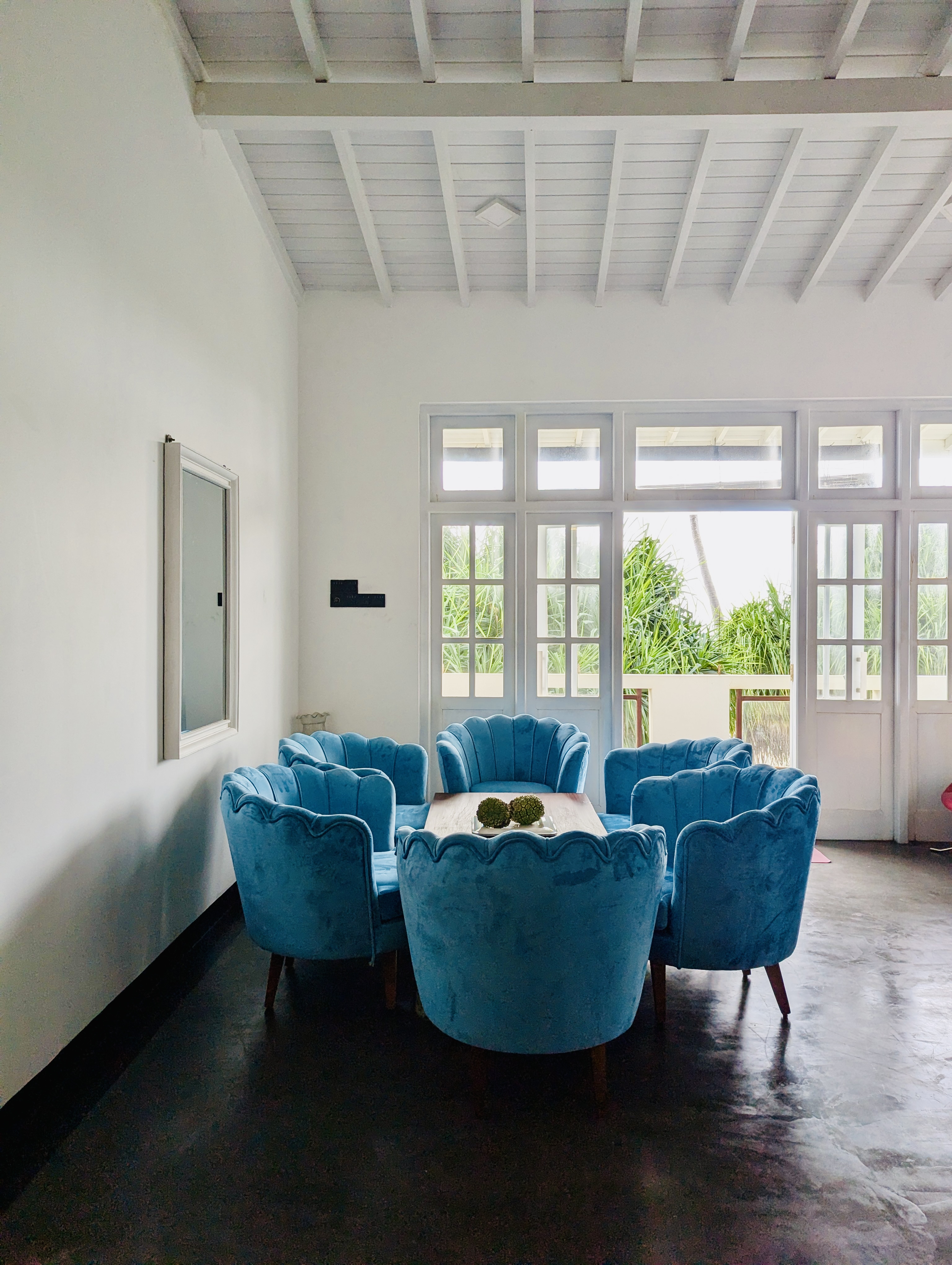 pxl 20241119 090345598