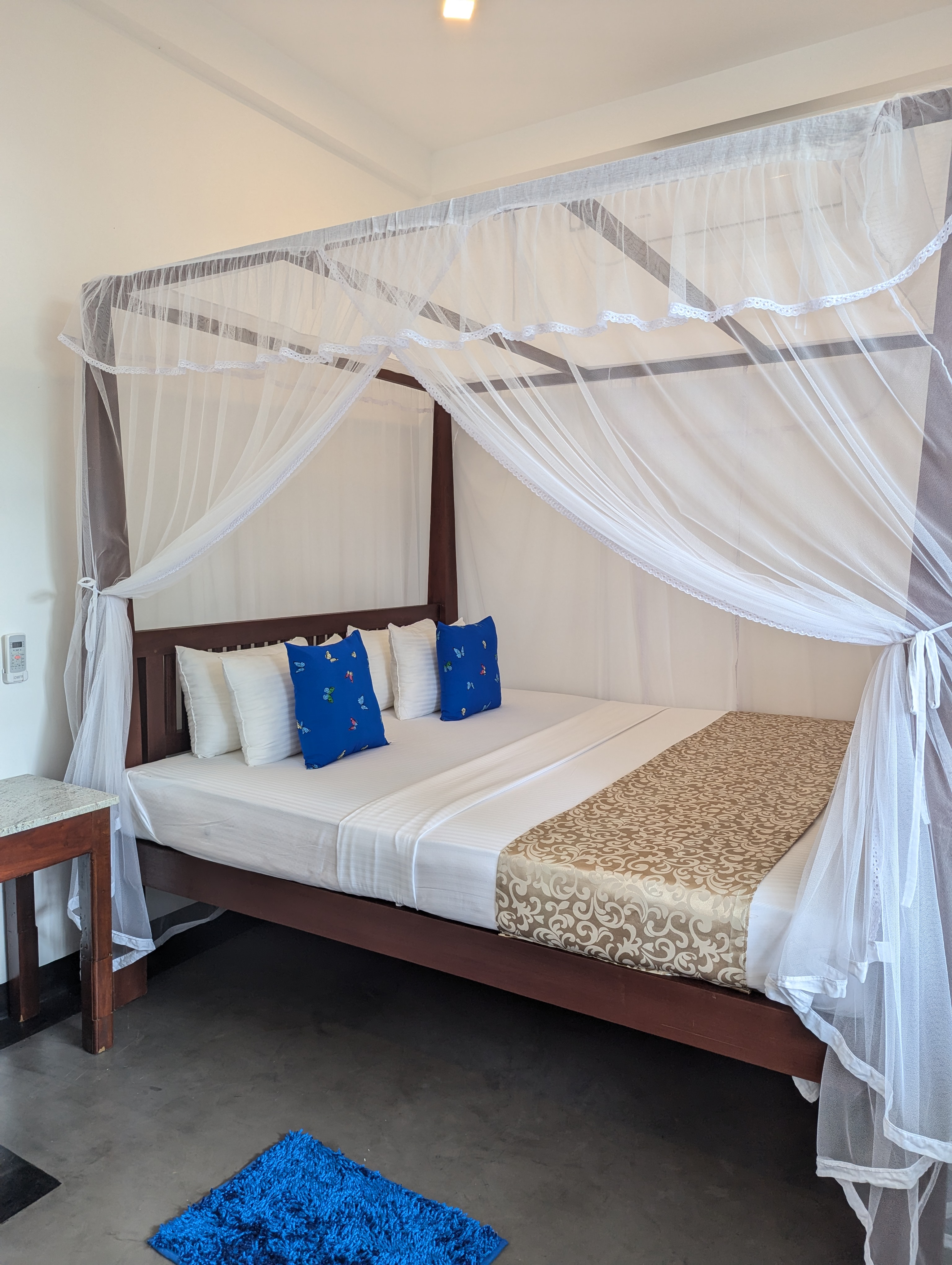 pxl 20241119 090618160