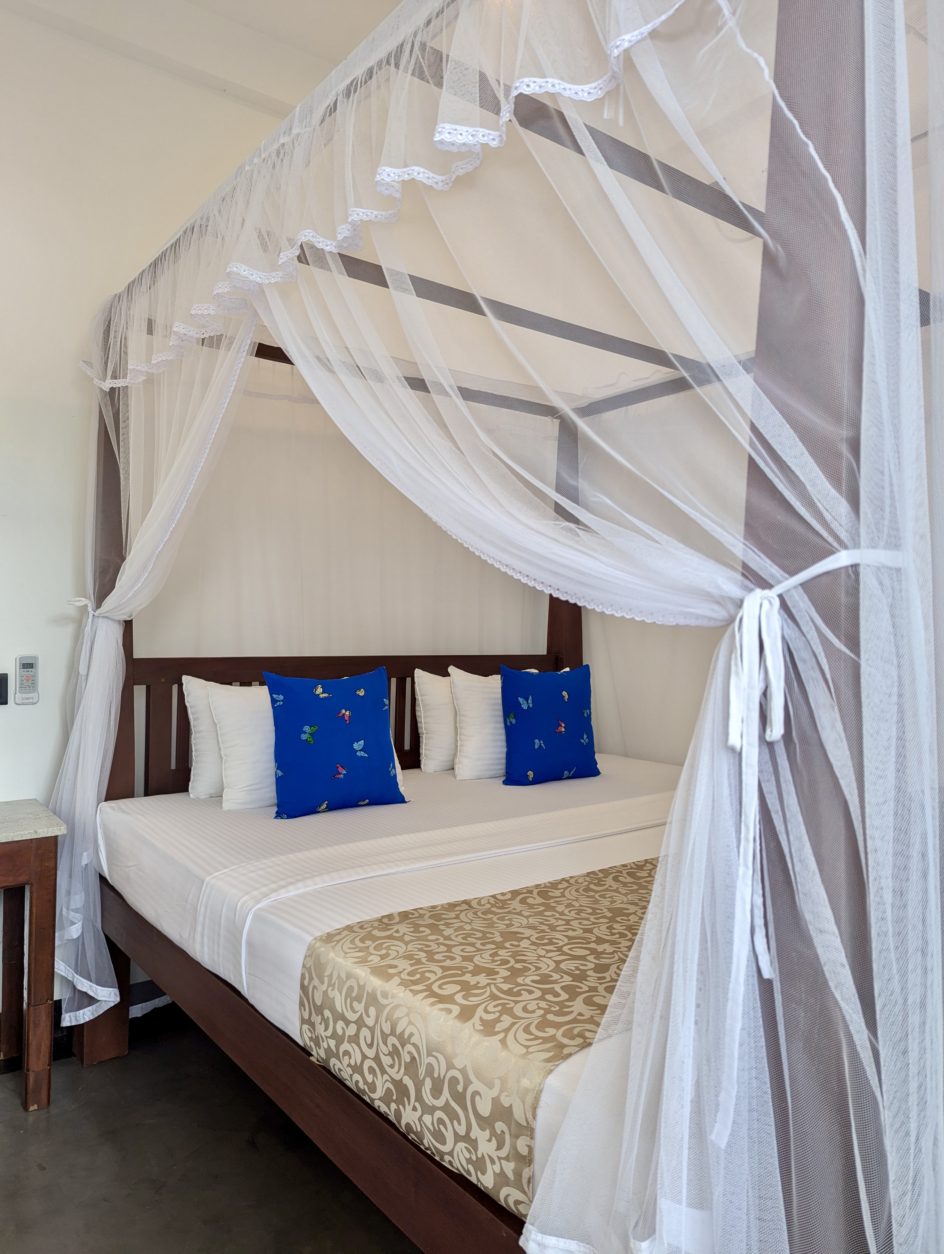 pxl 20241119 090727404