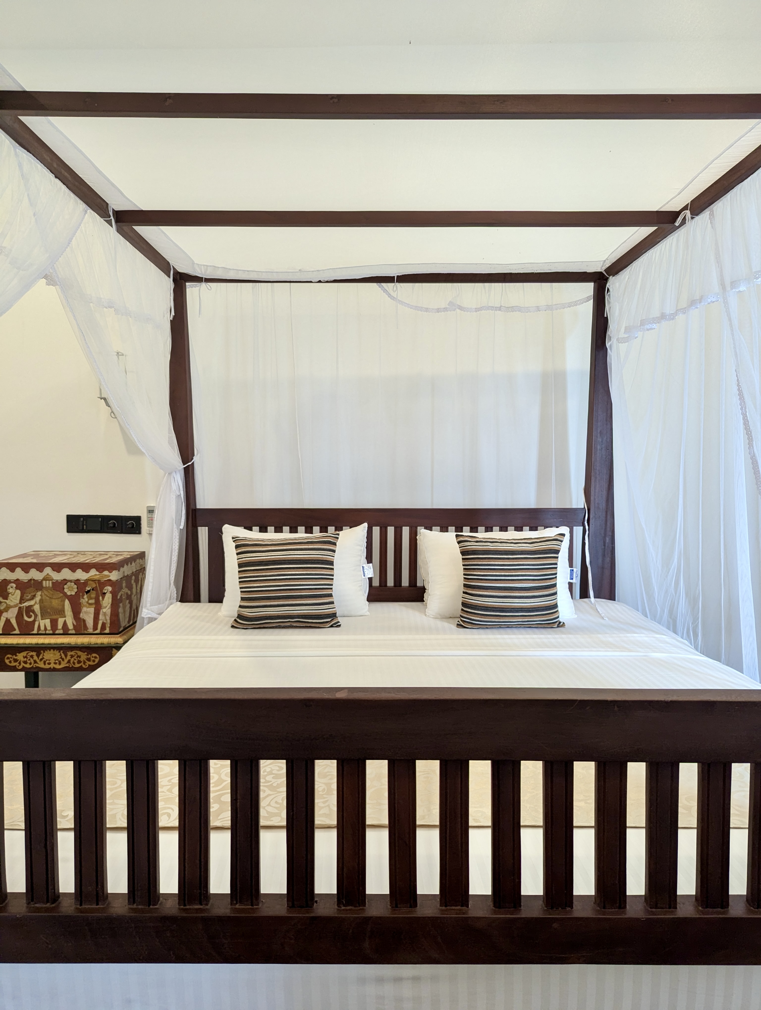 pxl 20241119 091151898