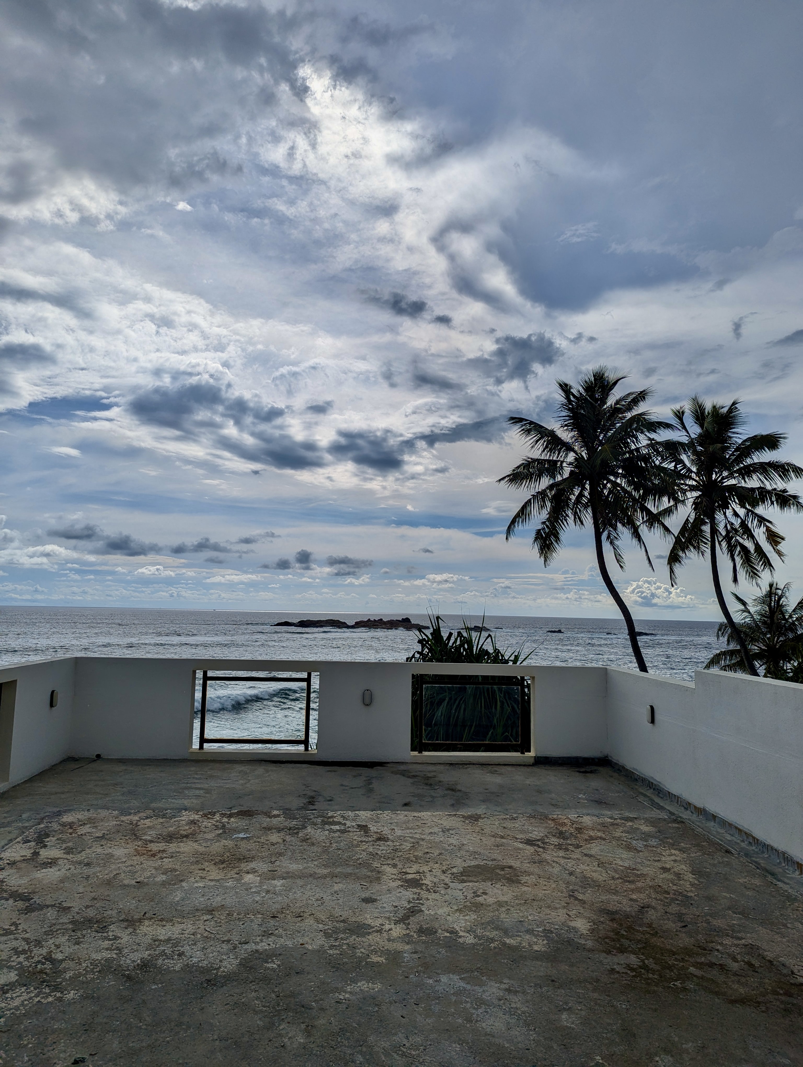 pxl 20241119 091406883