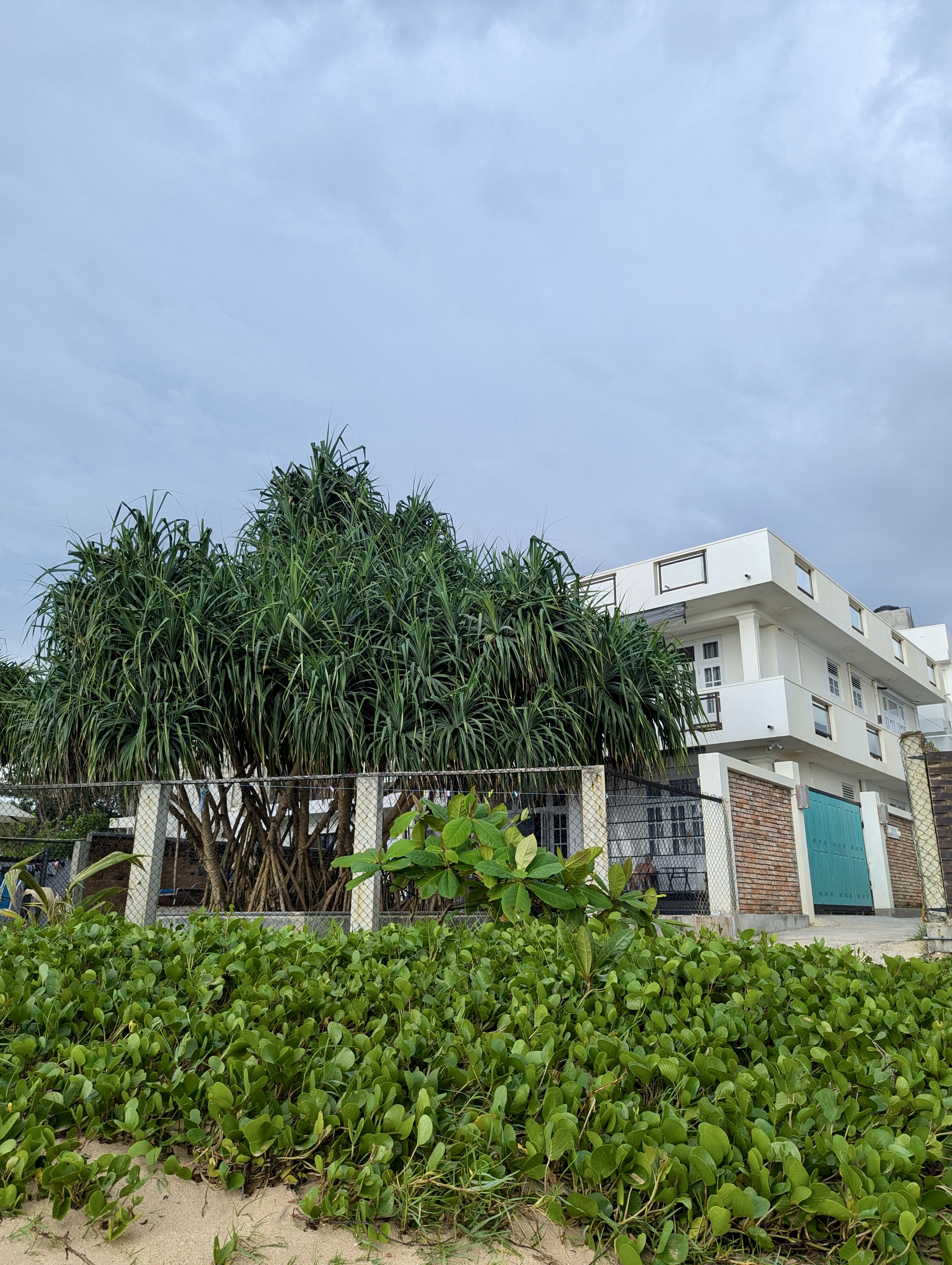 pxl 20241119 092013784