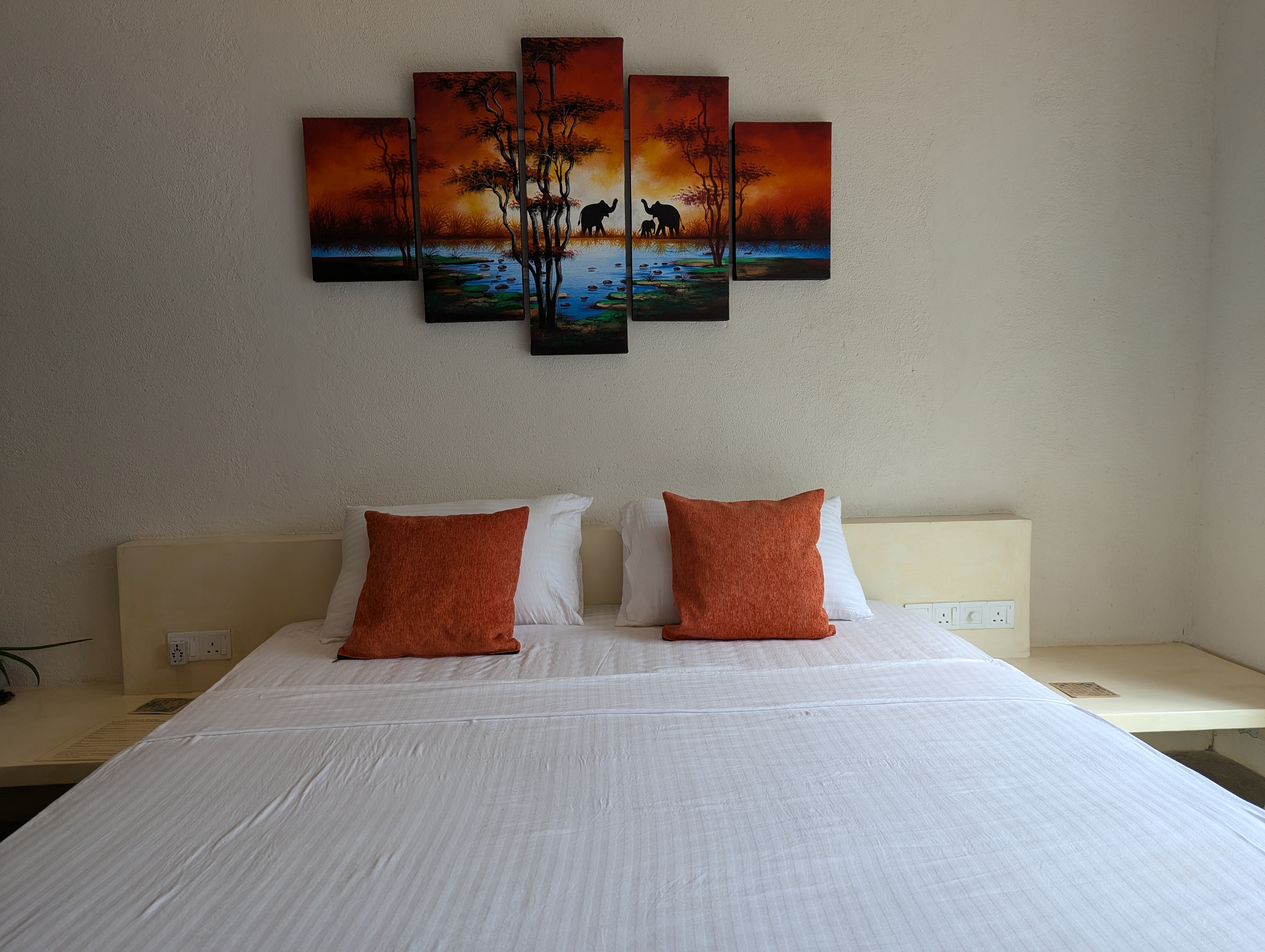 pxl 20241120 071634366