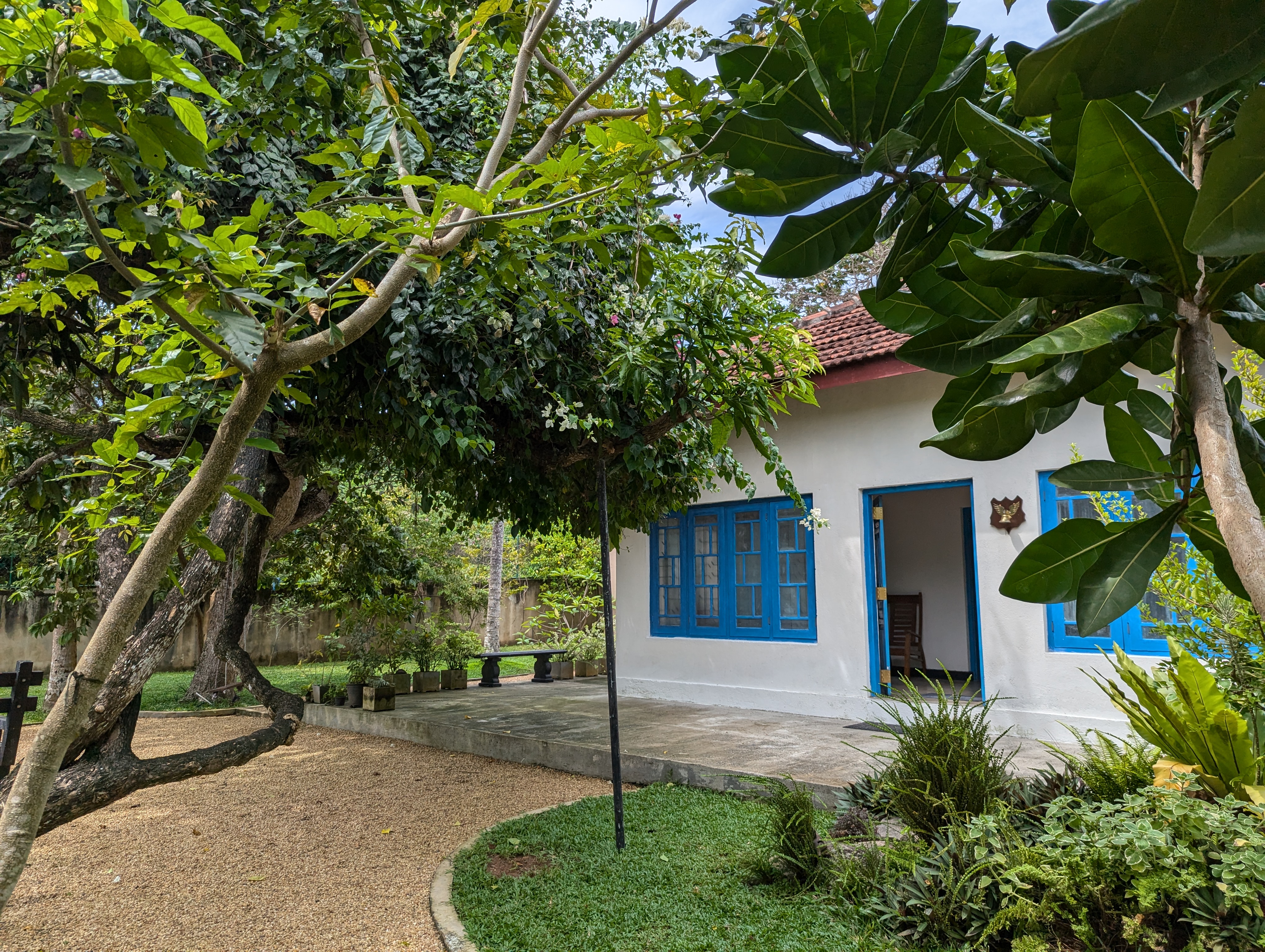 pxl 20241120 072820169