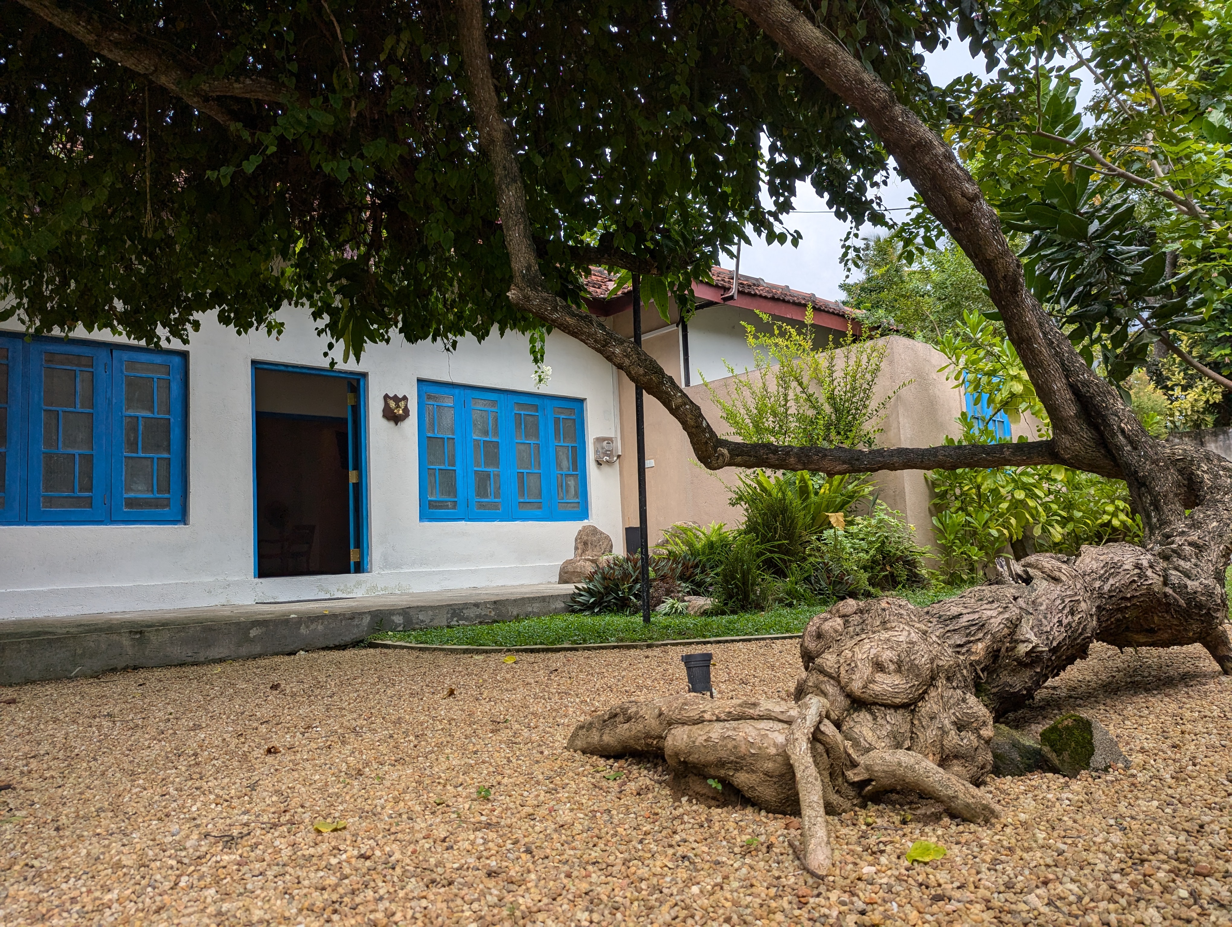 pxl 20241120 073108253