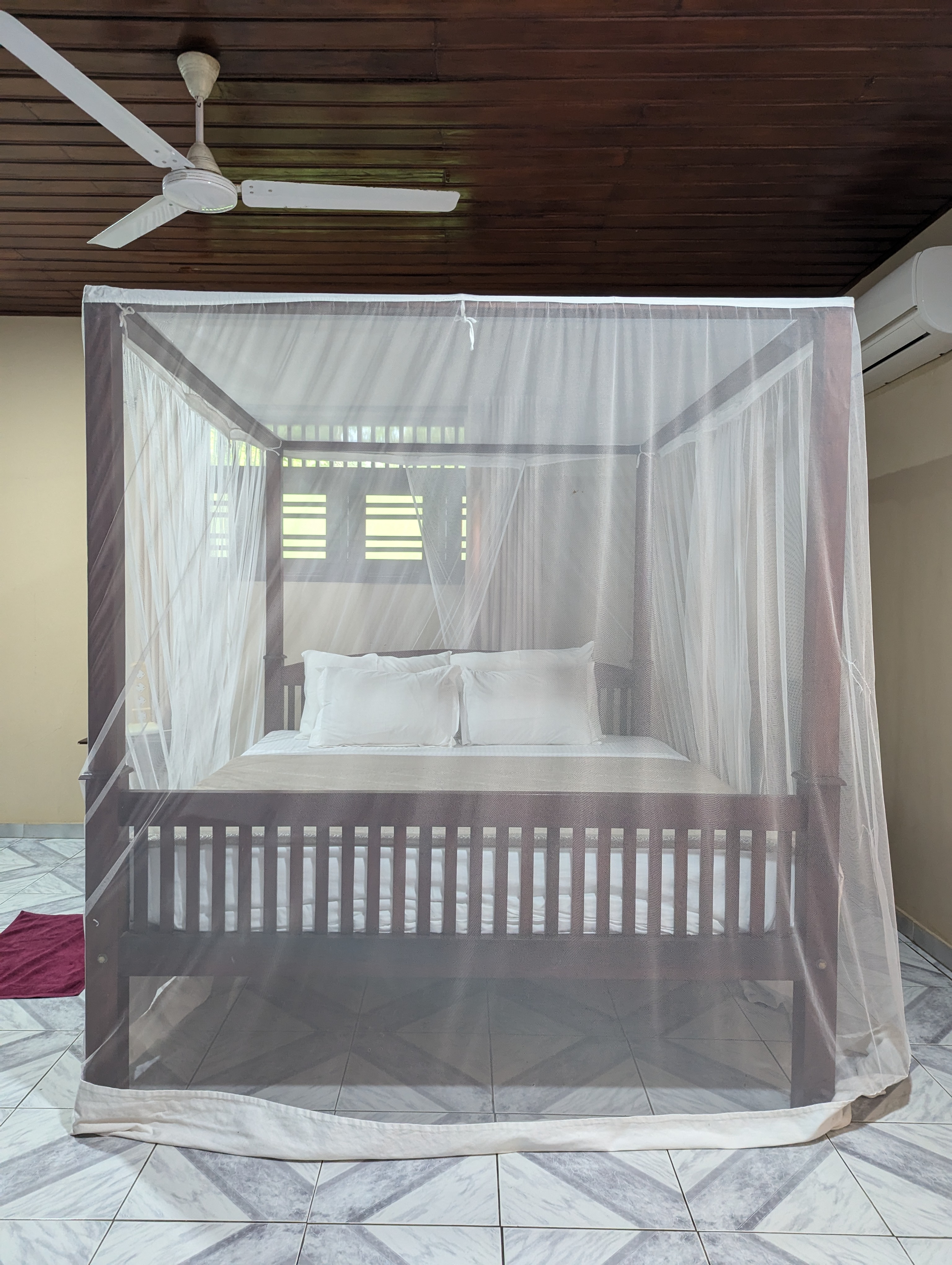 pxl 20241120 111859429