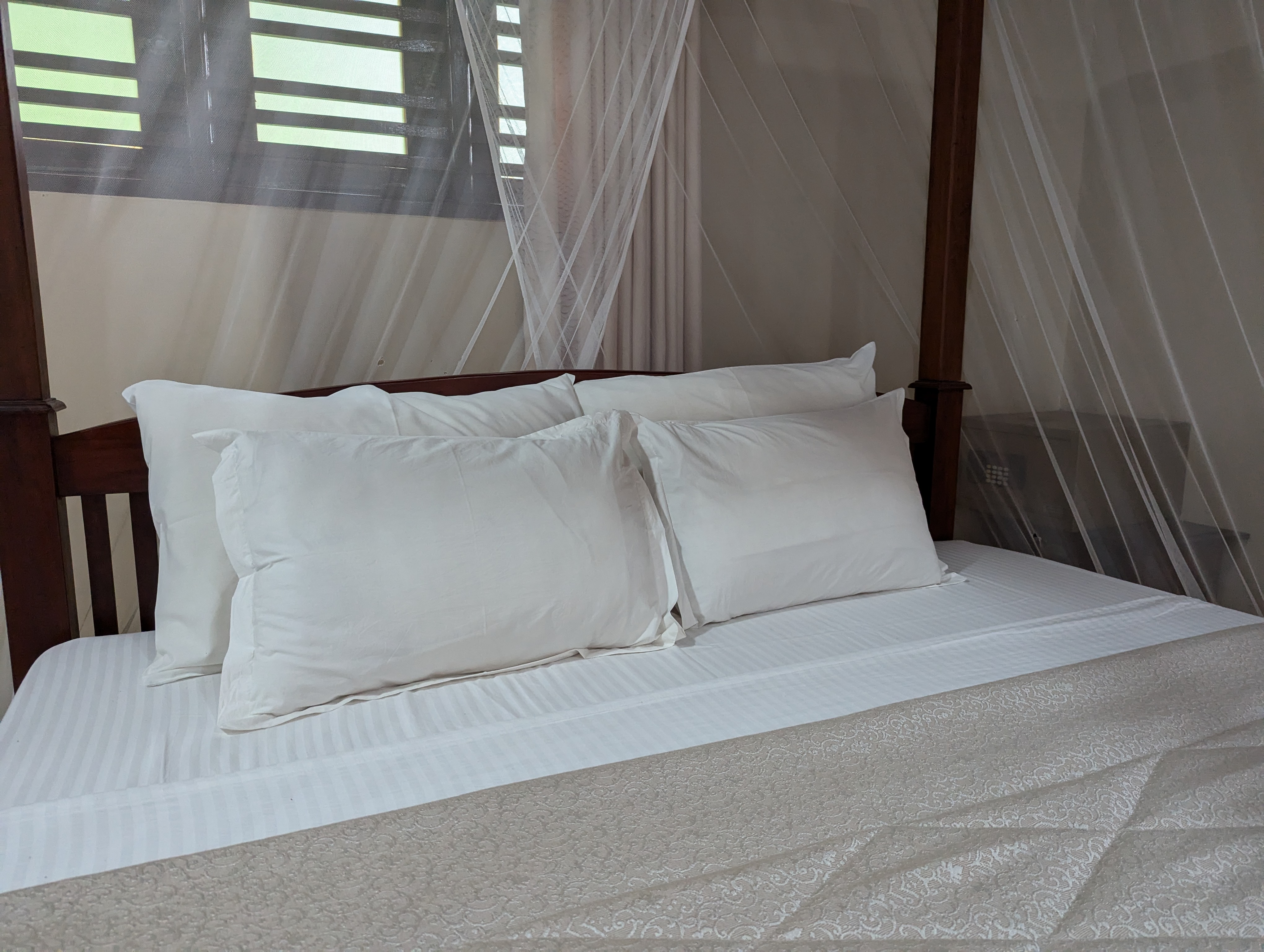 pxl 20241120 111916279